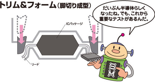 トリム&フォーム(脚切り成型)